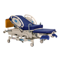 Preview: Affinity Three Birthing Bed