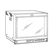 Preview: Sony TRINITRON PVM-1953MD