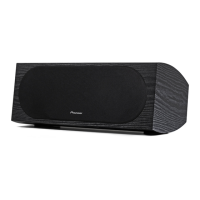 Preview: Pioneer SP-C22
