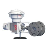 Preview: Flowserve Valtek MaxFlo 4