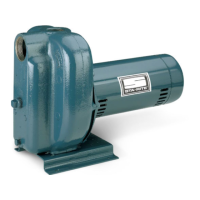 Preview: Pentair STA-RITE DS2HE-191PL