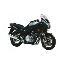Preview: Yamaha Diversion 900