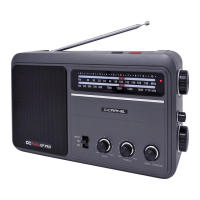 Preview: C. Crane CCRadio-EP