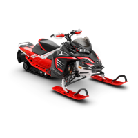 Preview: BRP Lynx RAVE RS Series