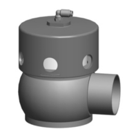 Preview: GEA DHV DN65/50 KVS 16