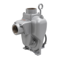 Preview: MP PUMPS FLOMAX 8
