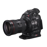 Preview: Canon EOS C100