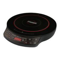Preview: Hearthware NuWave Precision