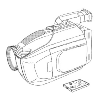 Preview: Palmcorder PalmSight PV-L671