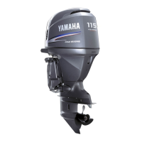 Preview: Yamaha FL115A