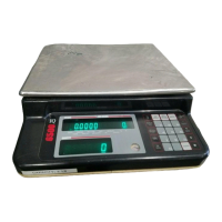 Preview: Rice Lake IQ6200