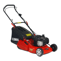 Preview: Cobra RM46B