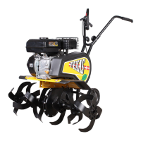 Preview: Texas Lilli 530