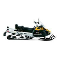 Preview: Ski-Doo Skandic WT 2013
