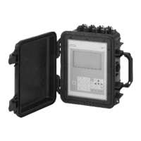 Preview: Siemens SITRANS FUP1010