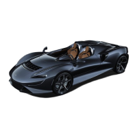 Preview: McLaren Elva
