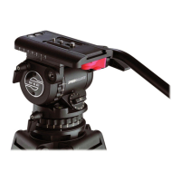 Preview: Sachtler DV 10 SB