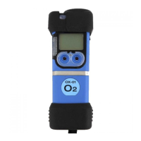 Preview: RKI Instruments CO-01
