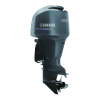 Preview: Yamaha FL250A