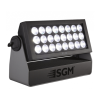 Preview: SGM P-6