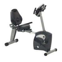 Preview: Schwinn 213