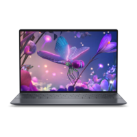 Preview: Dell NOT22388