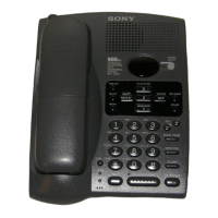 Preview: Sony SPP-A946