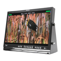 Preview: TV Logic XVM-245W