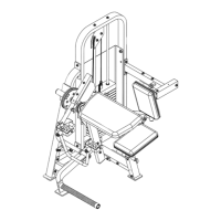 Preview: Hoist Fitness Dual 100