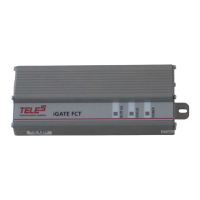 Preview: TELES iGATE FCT