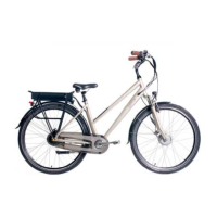 Preview: b'Twin B'ebike 9