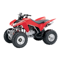 Preview: Honda SPORTRAX 250X 2009