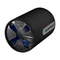 Preview: Blaupunkt GTT 300