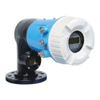 Preview: Endress+Hauser Proservo NMS80