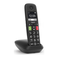 Preview: Gigaset E290M Duo
