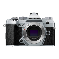 Preview: Olympus V207090SU000