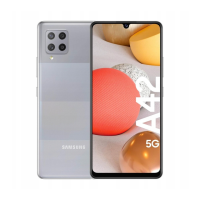 Preview: Samsung SM-A426B/DS