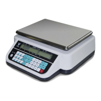Preview: Rice Lake Digi DC-782