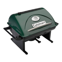 Preview: Cuisinart CCG-100