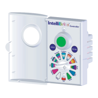 Preview: Pentair Pool Products IntelliBrite