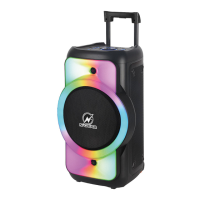 Preview: N-Gear THE FLASH JUKE 12