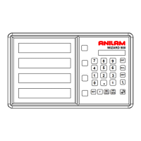 Preview: Anilam Wizard 900