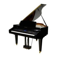 Preview: Kawai CP200