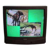 Preview: Toshiba CZ36V61
