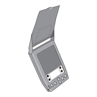 Preview: Palm IIIe