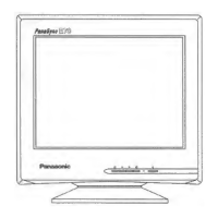 Preview: Panasonic PanaSync E70