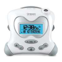 Preview: Oregon Scientific RRM313P