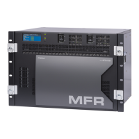 Preview: FOR-A MFR-6100