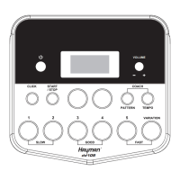 Preview: Hayman dd105