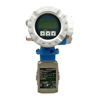 Preview: Endress+Hauser Promag 50